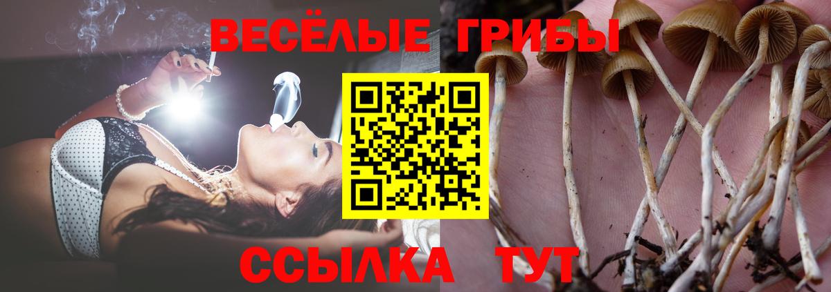 Галлюциногенные грибы Psilocybe  Вход с VPN  Хабаровск 